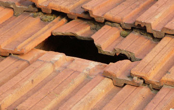 roof repair Kidnal, Cheshire